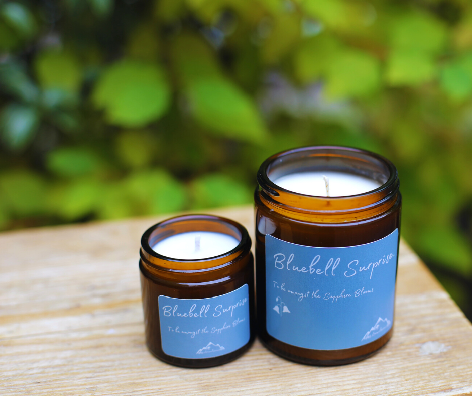 Bluebell Surprise