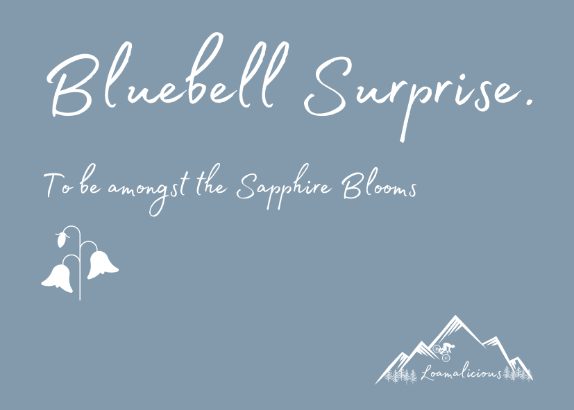 Bluebell Candle | MTB inspired gift | Forest of Dean | Bluebell Woods